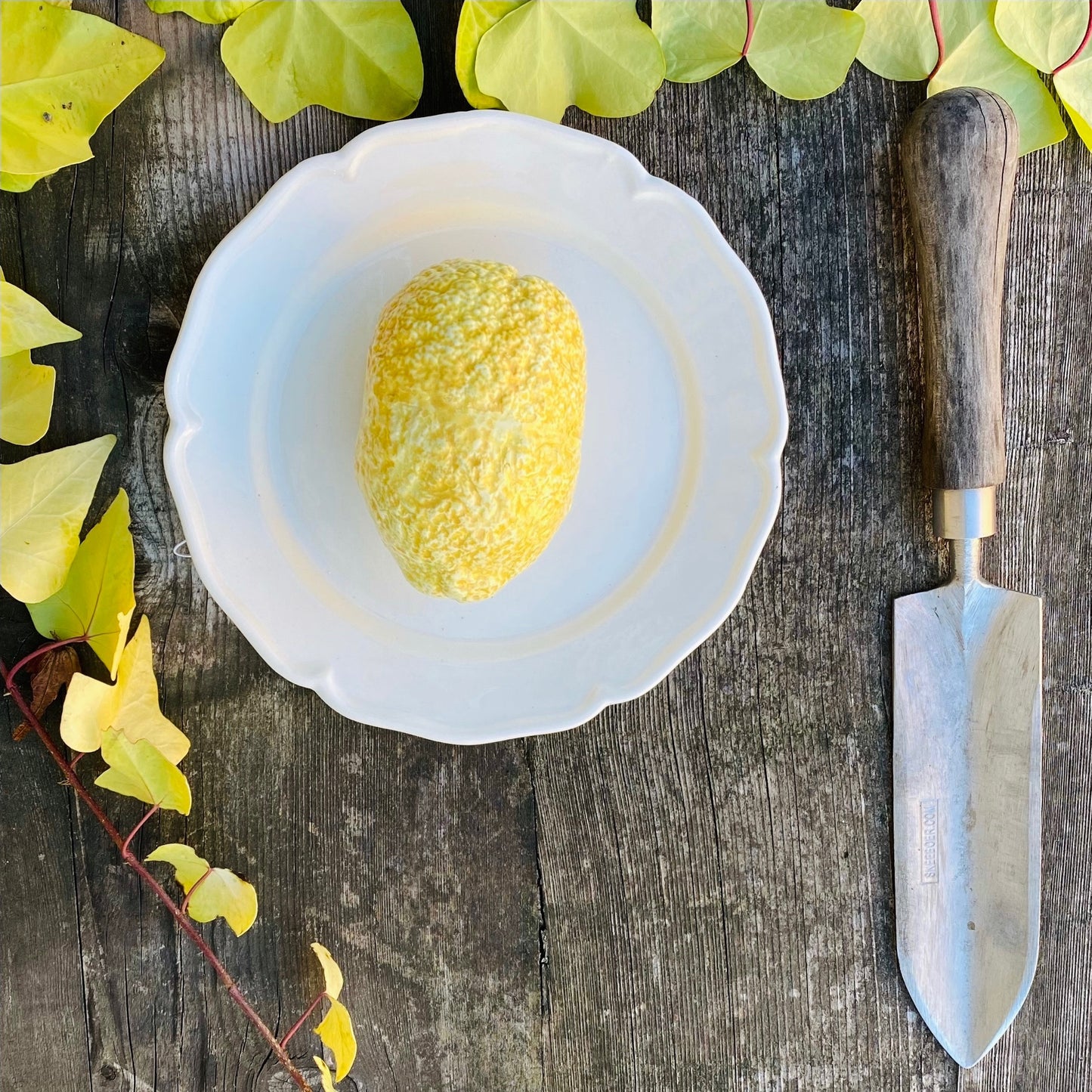 Porcelain Citron on a Plate