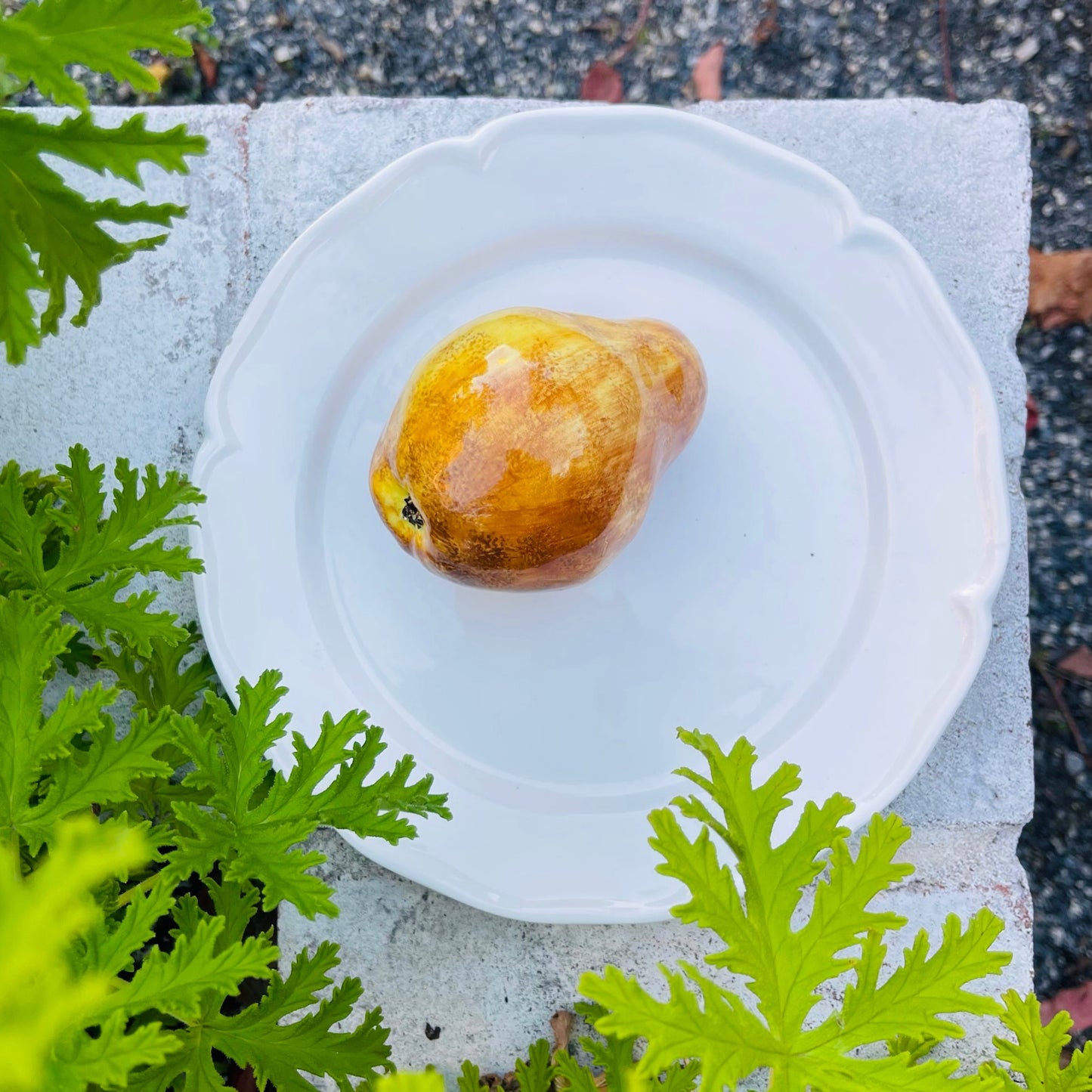 Porcelain Bosc Pear on a Fluted Plate