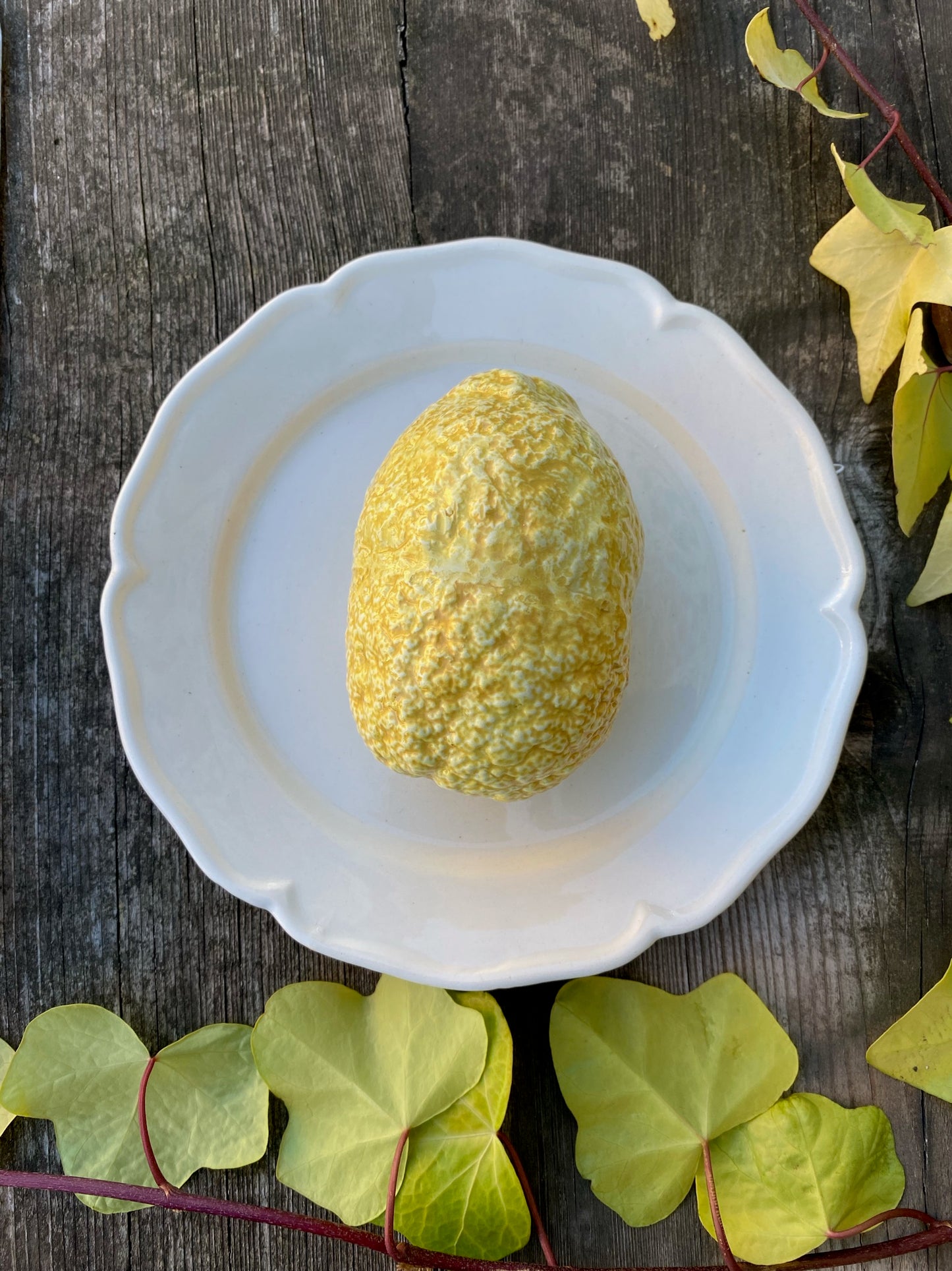 Porcelain Citron on a Plate