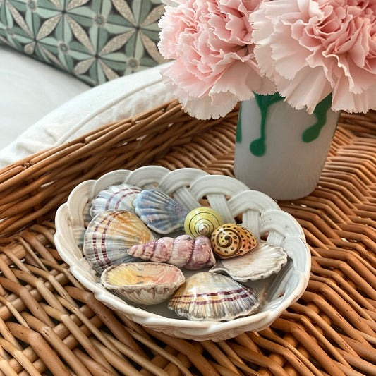 Porcelain Basket with Handpainted Shells