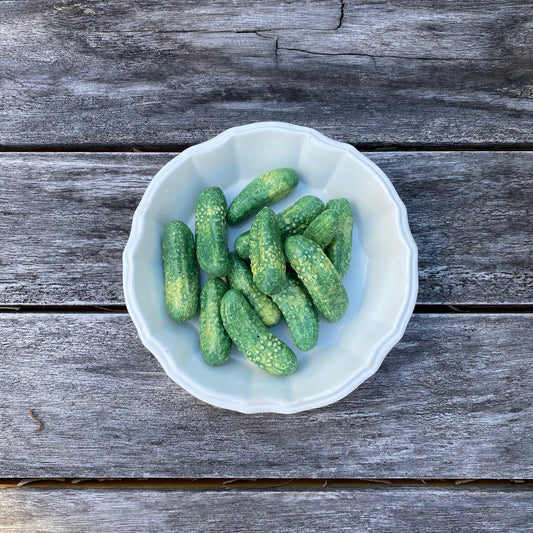Porcelain Pickling Cucumbers in a Fluted Dish