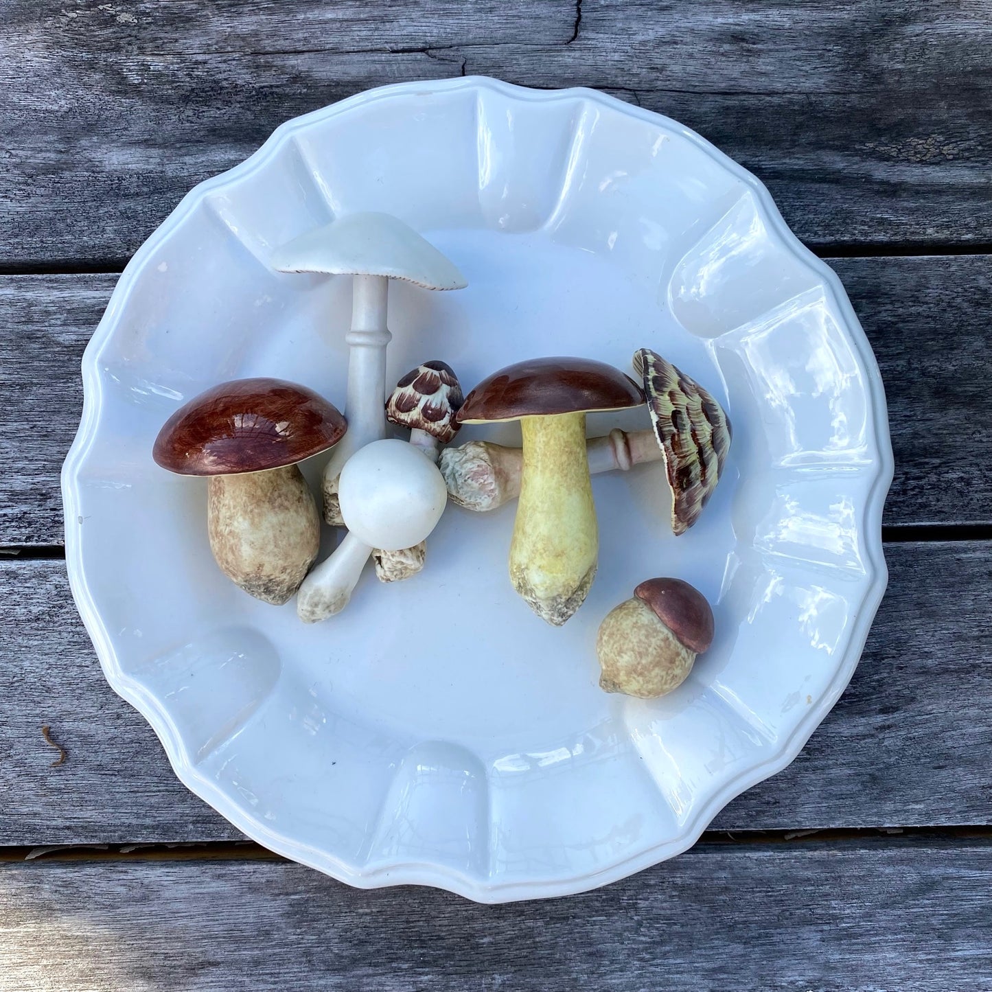 Porcelain Wild Mushrooms Plate