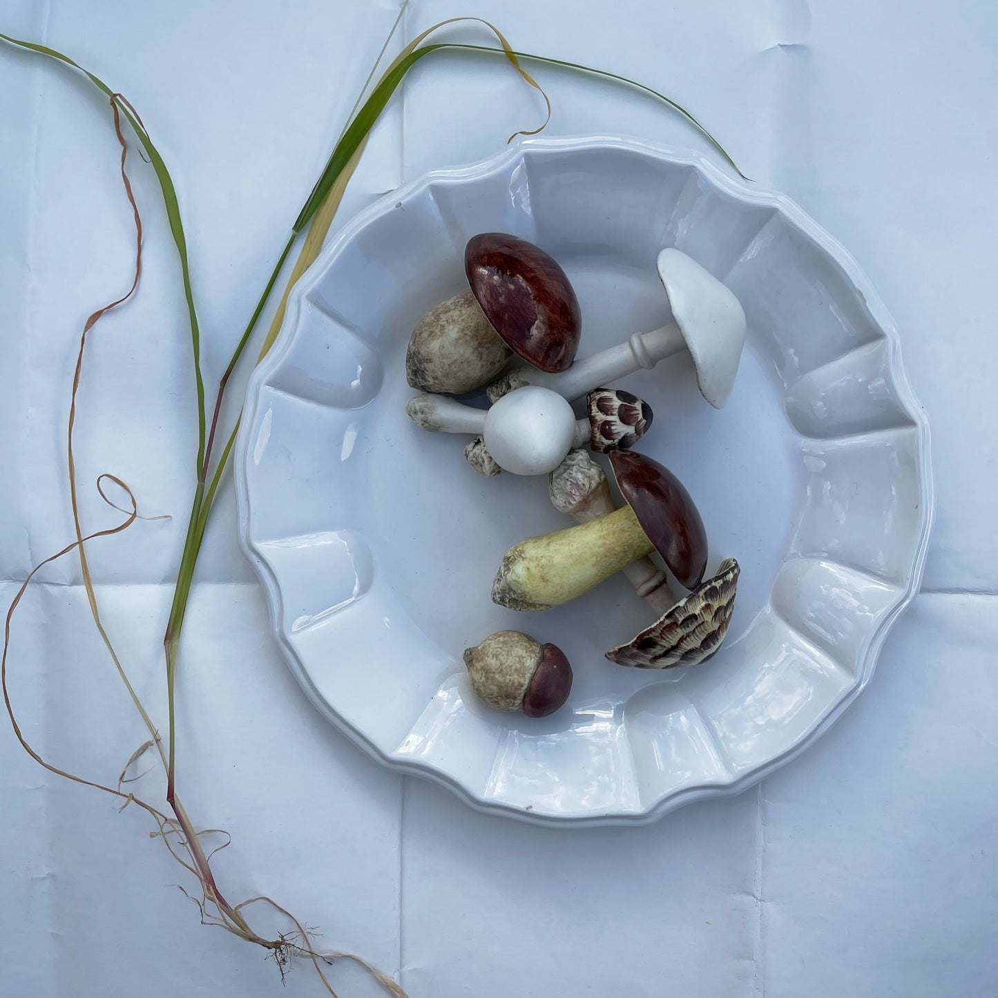 Porcelain Wild Mushrooms Plate
